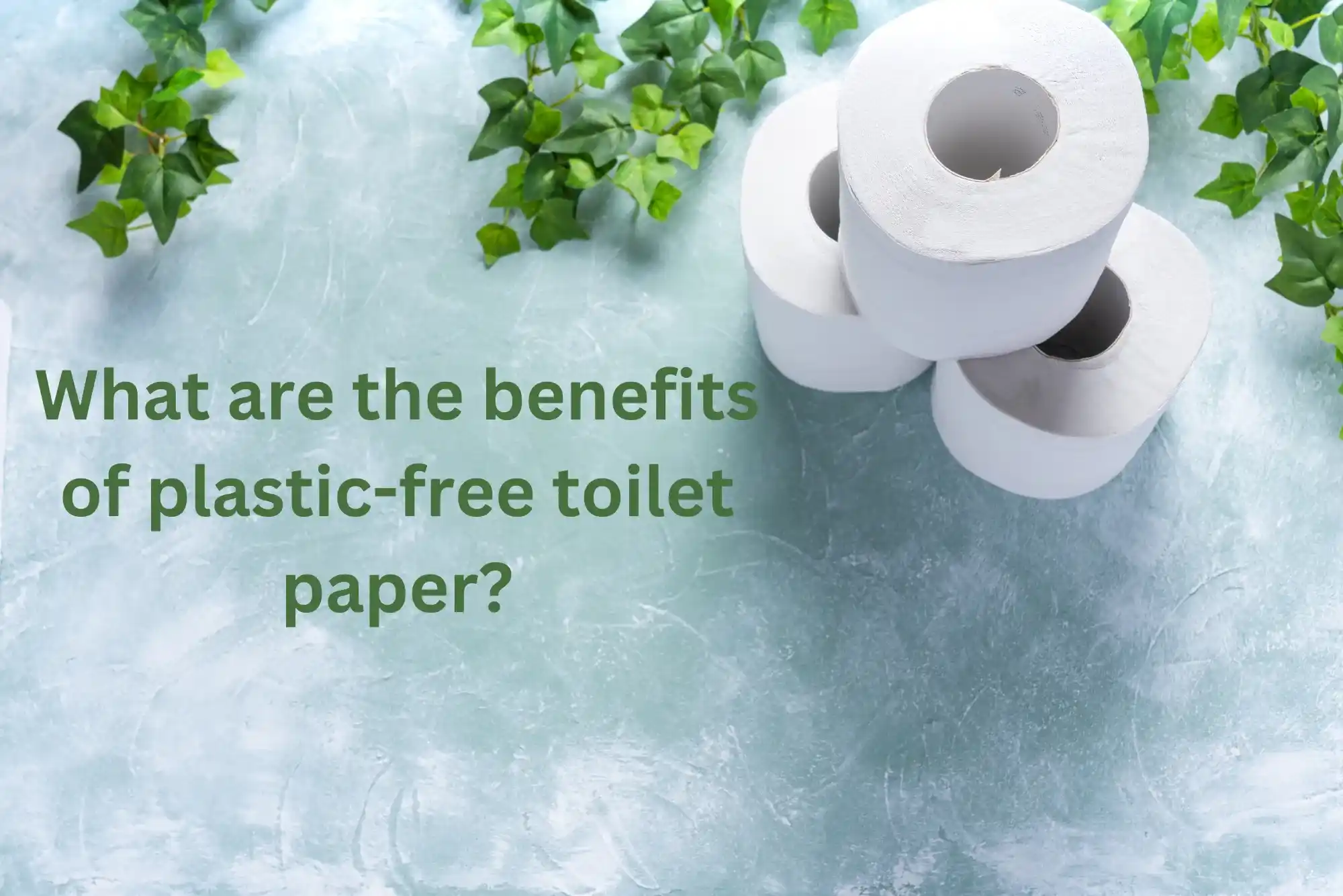 What are the benefits of plastic-free toilet paper