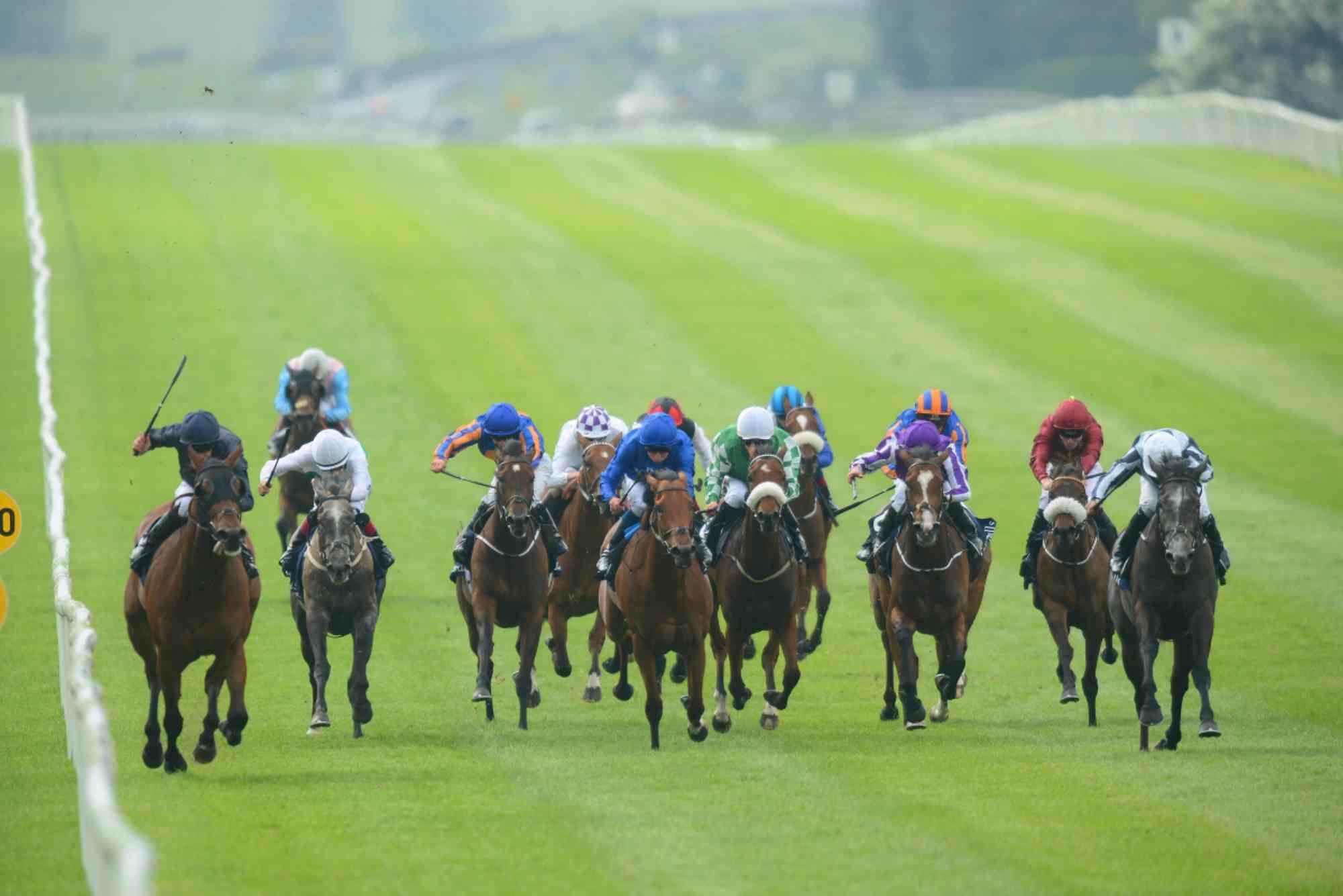 Betting on Horse Racing: Expert Insider Tips Today