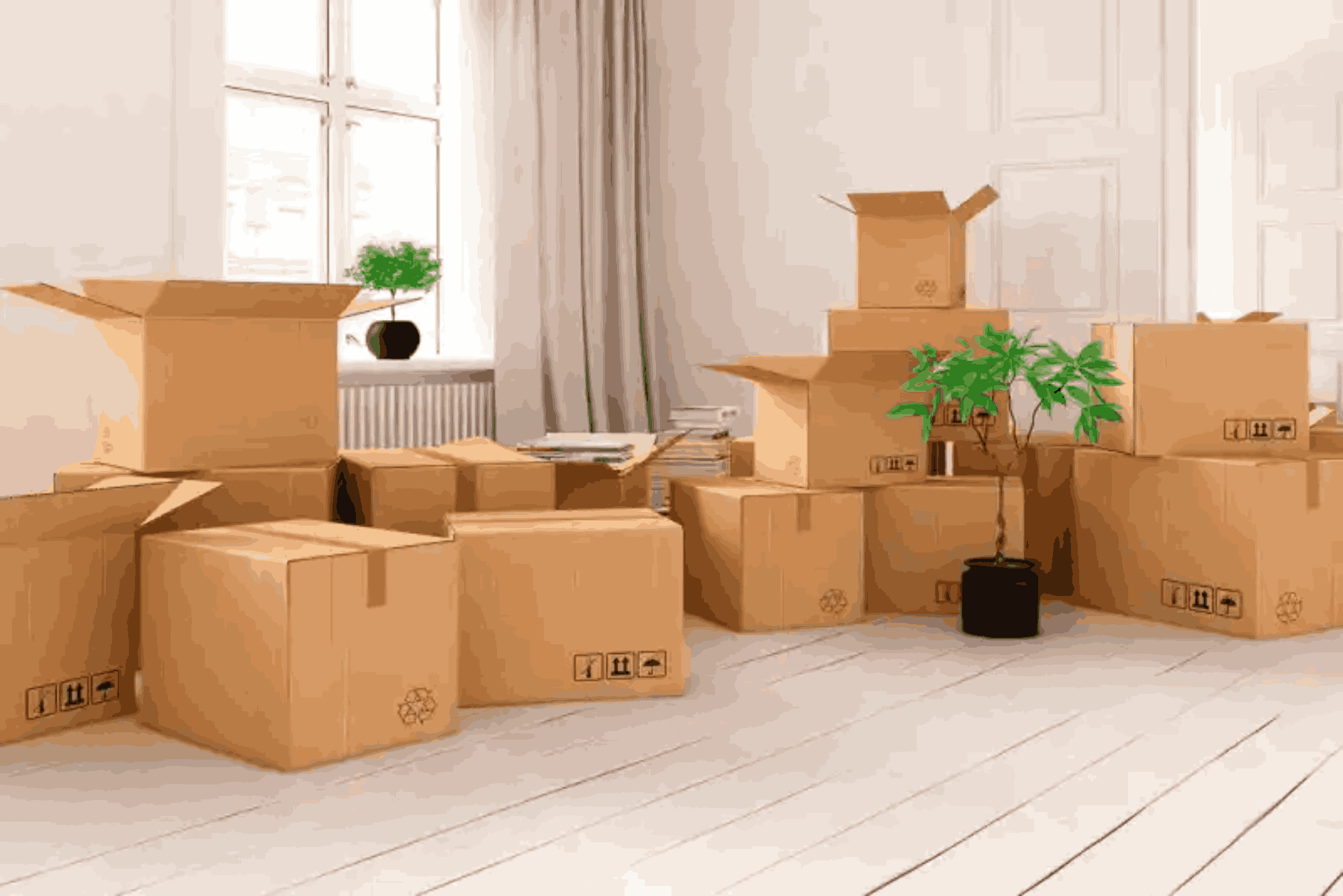 Why Buddy Packaging Boxes Are Safe Durable South Punjab Focus