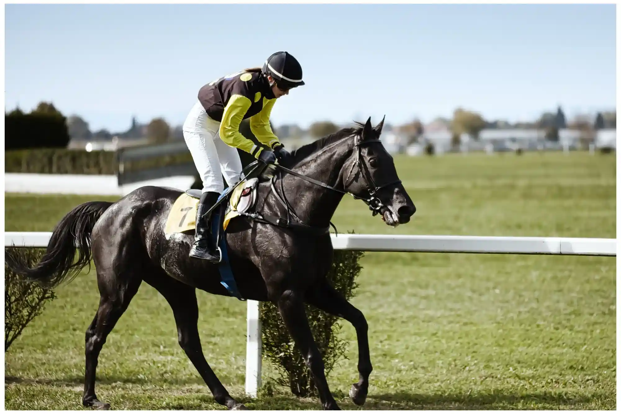 Which Horse Racing Betting Sites Offer Bonuses