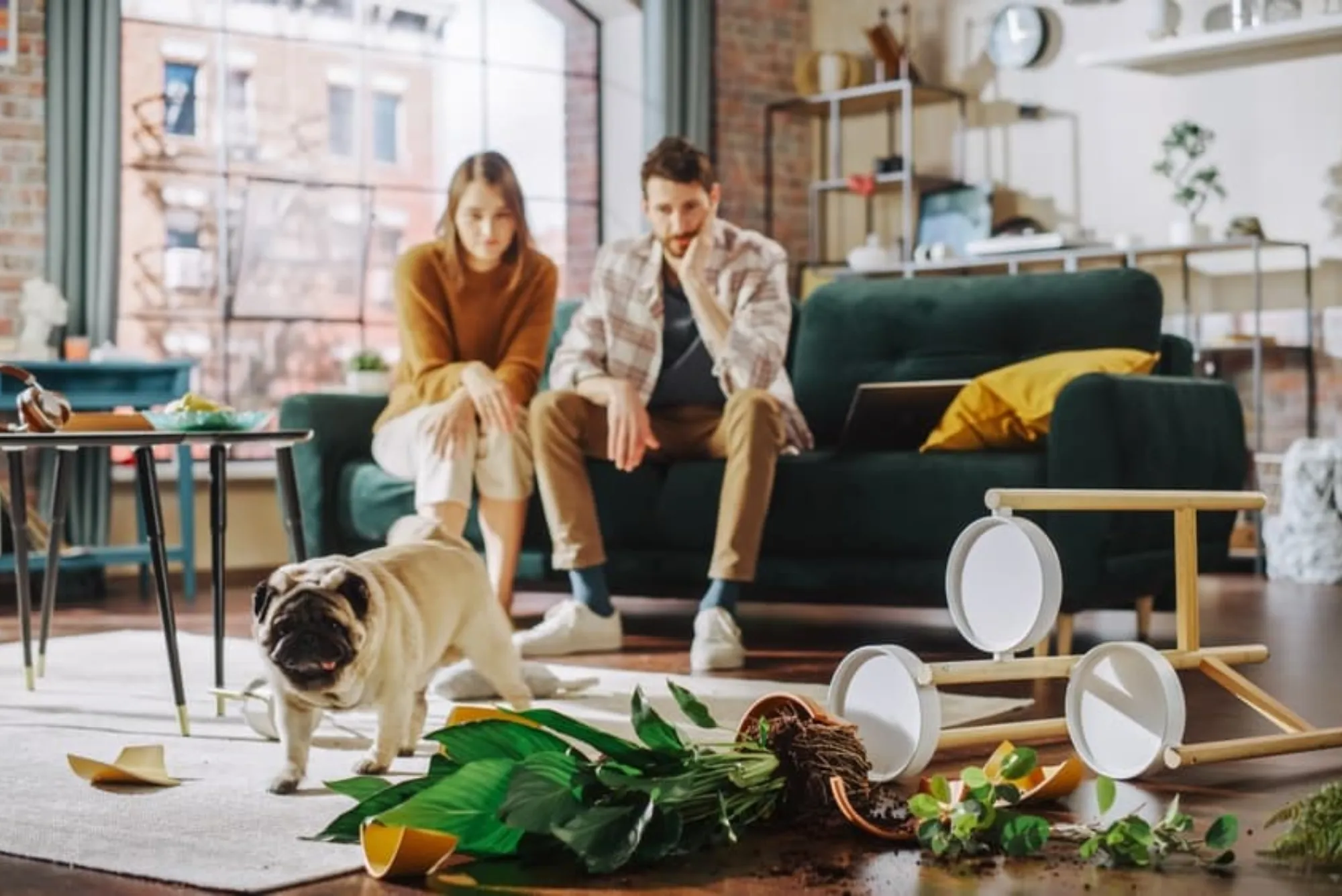 Why Homes in the UK Get Dirty So Fast