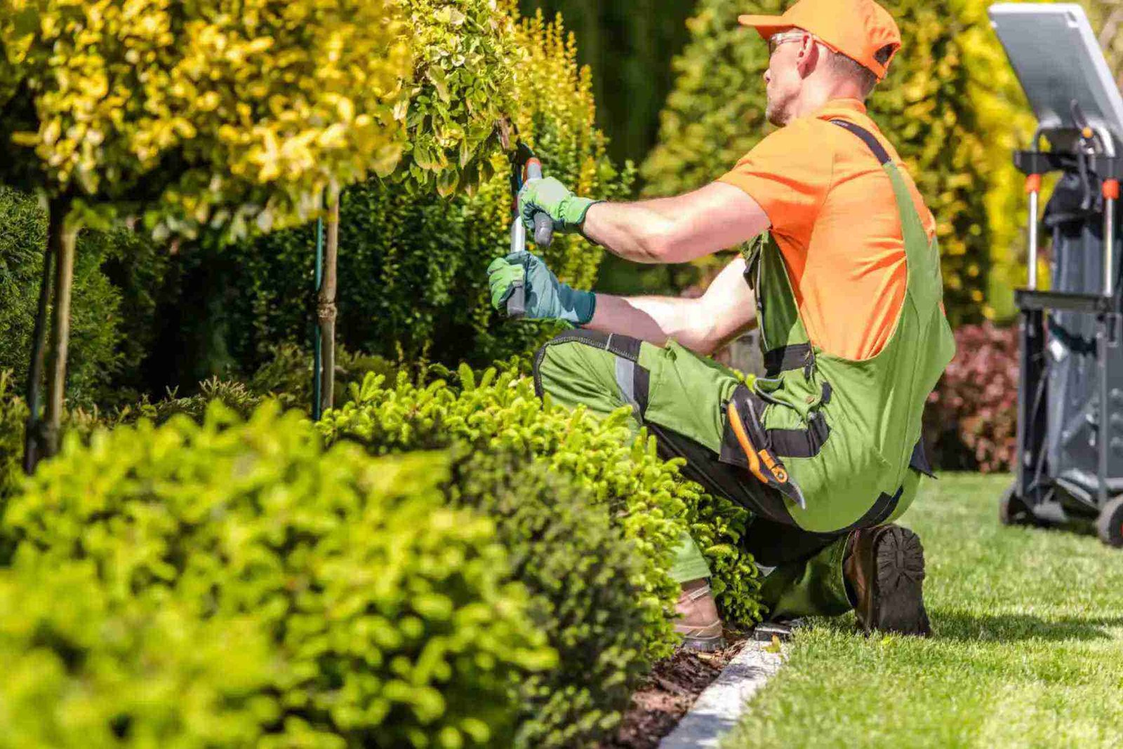 Lawn Services in Omaha, NE